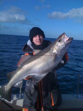 19 lb Pollock by Colin Carr