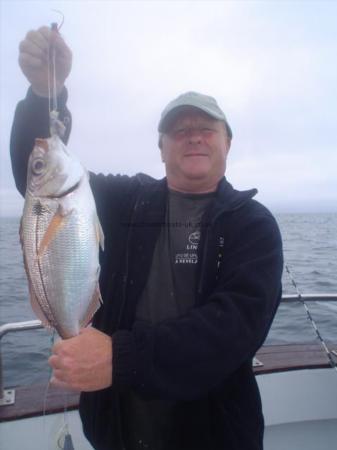 3 lb Red Sea Bream by Gordon from Tavistock