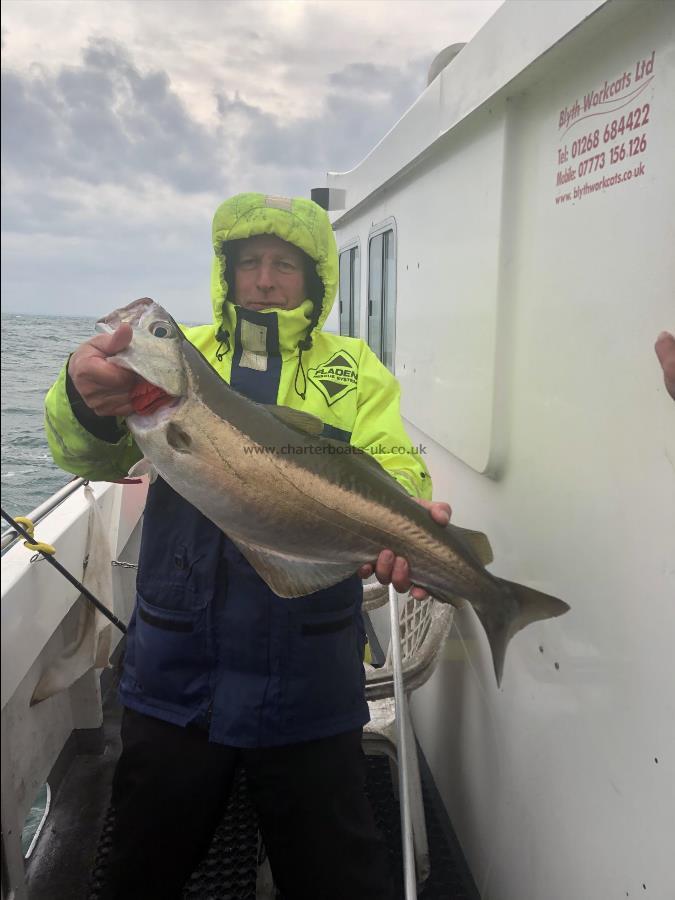 12 lb Pollock by Unknown