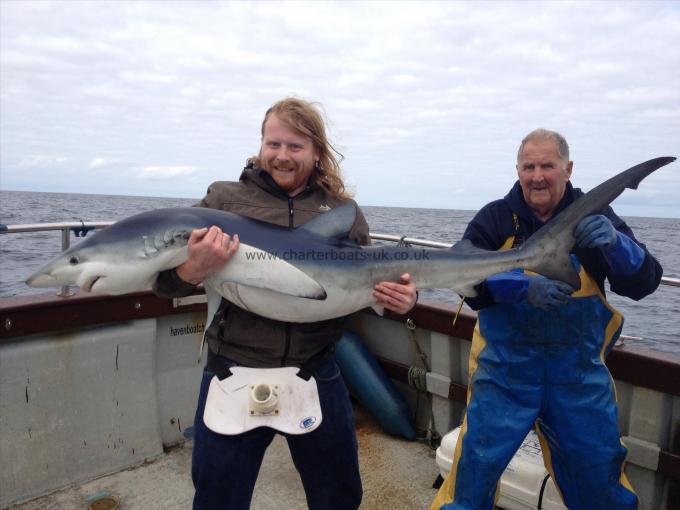 90 lb Blue Shark by JP