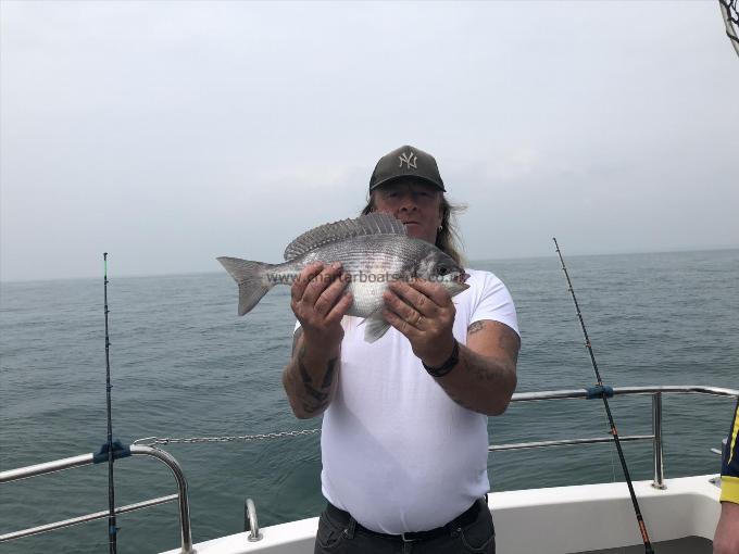 2 lb 9 oz Black Sea Bream by Joe