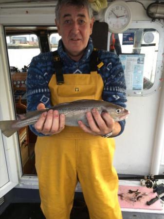 3 lb 3 oz Cod by Skipper karl