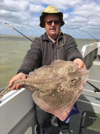 14 lb Thornback Ray by Unknown