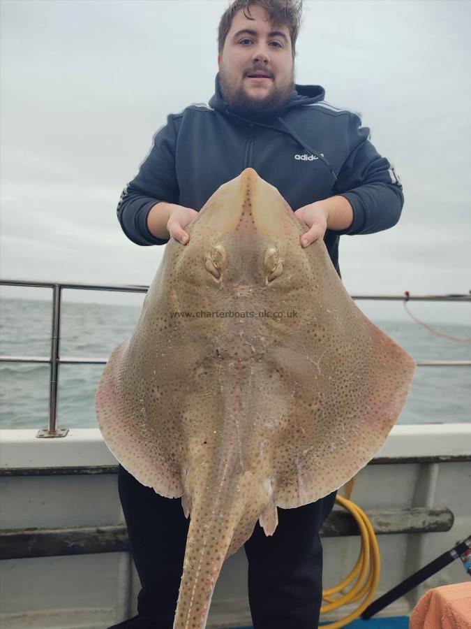 29 lb Blonde Ray by Luke