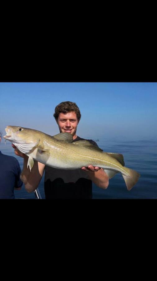 8 lb 6 oz Cod by Unknown