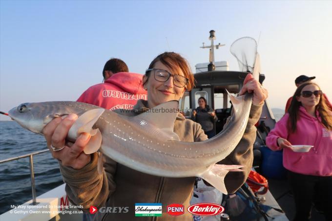 5 lb Starry Smooth-hound by Lisa