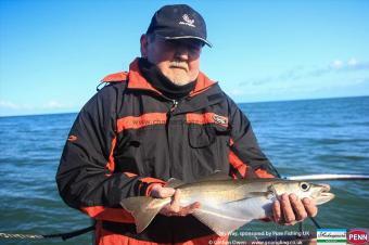 3 lb Pollock by Dave