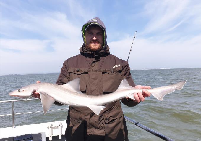 9 lb Smooth-hound by Bob Marshall