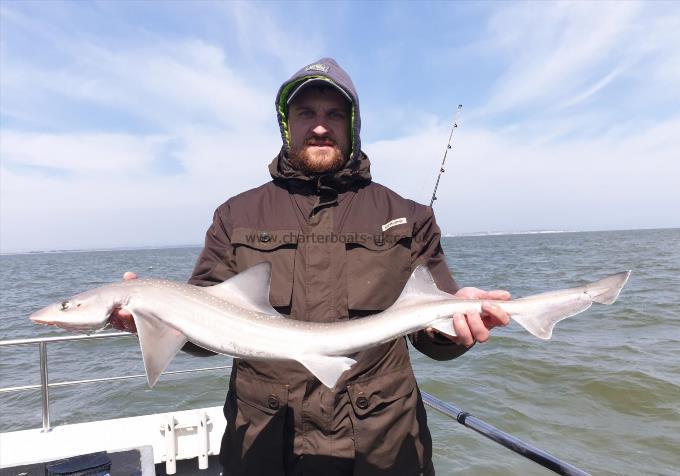 9 lb Smooth-hound (Common) by Bob Marshall