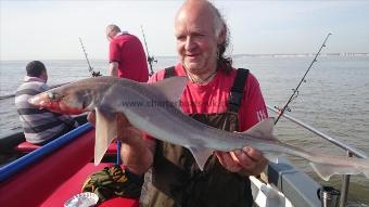 5 lb 2 oz Smooth-hound (Common) by Kevin from Rainham