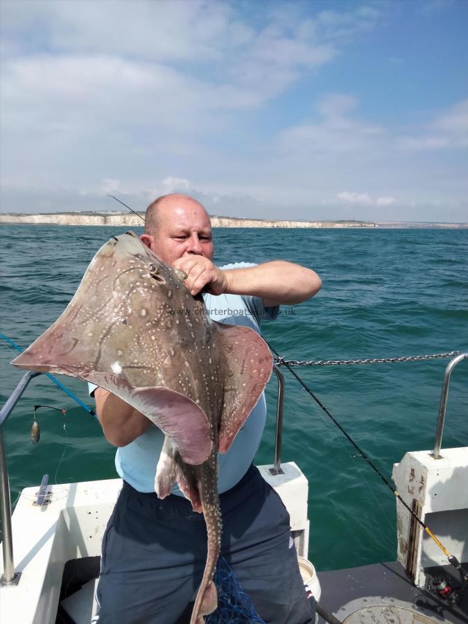 15 lb Undulate Ray by Unknown