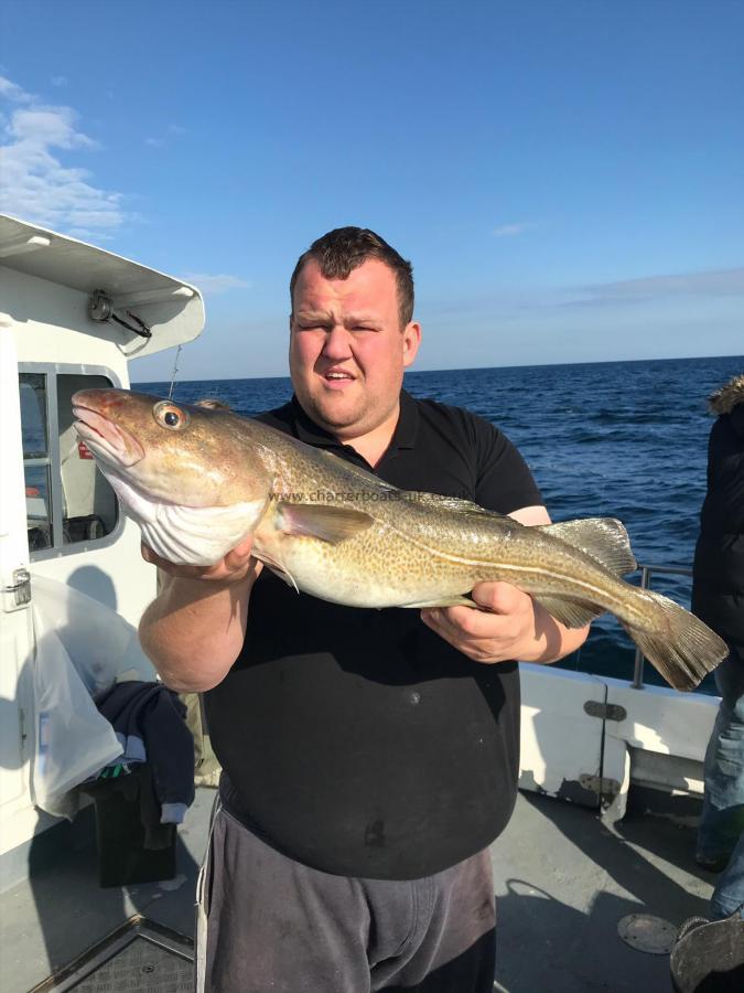 10 lb Cod by Unknown