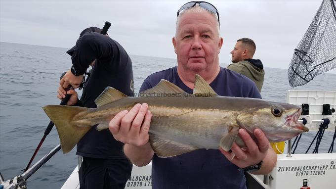 6 lb 9 oz Pollock by Unknown