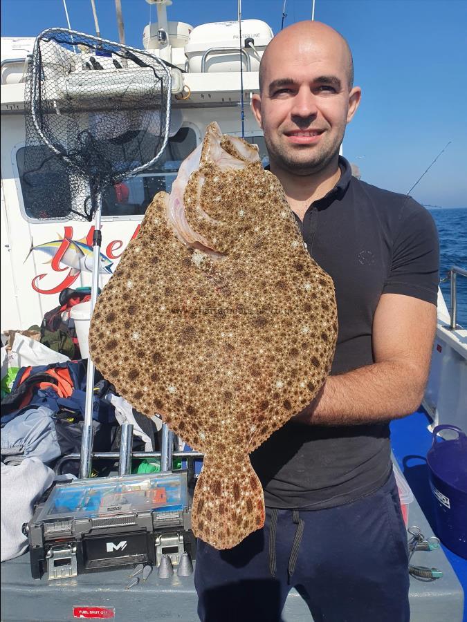 7 lb Turbot by Unknown