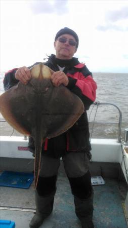 14 lb Blonde Ray by graham
