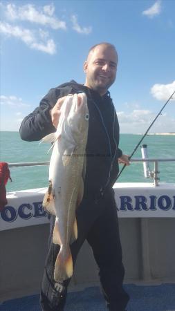 10 lb Cod by Unknown