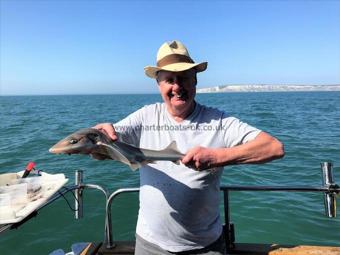 3 lb Starry Smooth-hound by Roy
