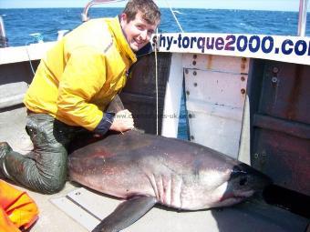 200 lb Porbeagle by Richard Kraggs from Helmsley North Yokshire.