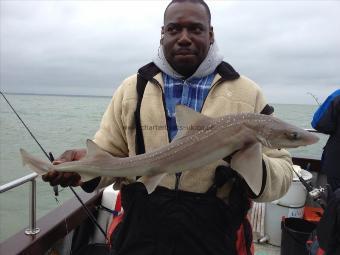 6 lb Starry Smooth-hound by Darren C