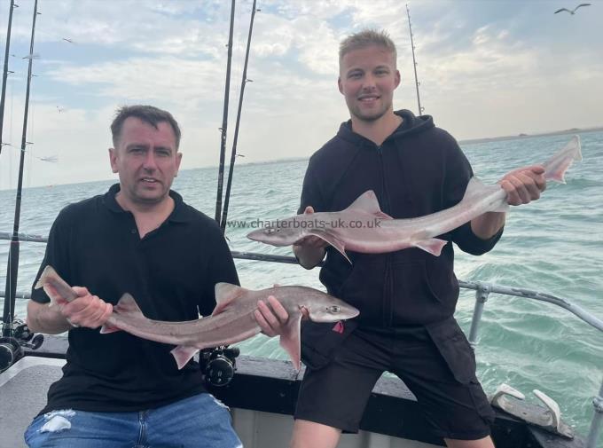 6 lb Smooth-hound by Unknown