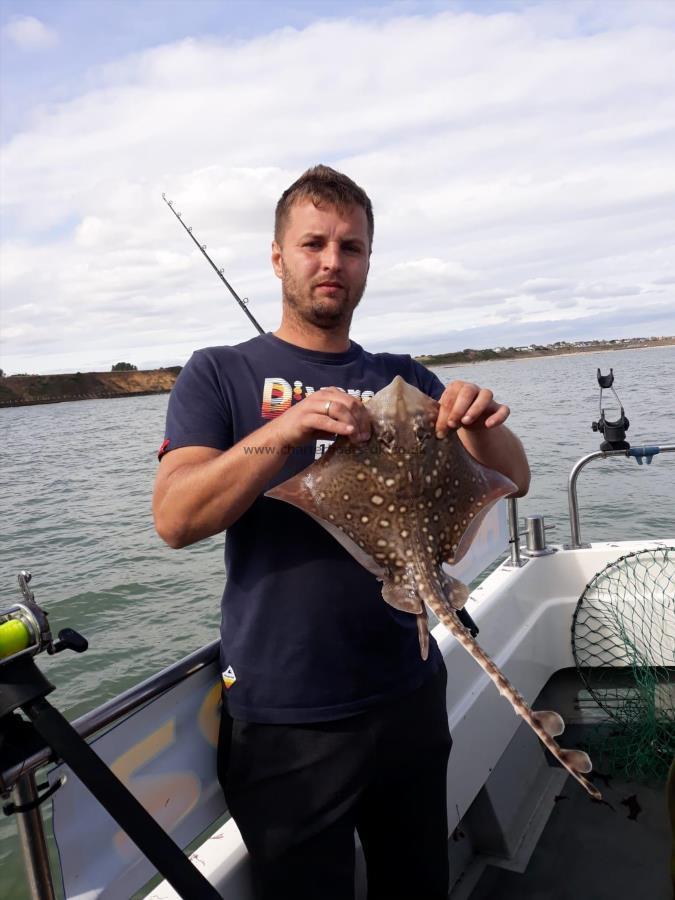 4 lb Thornback Ray by Jurek