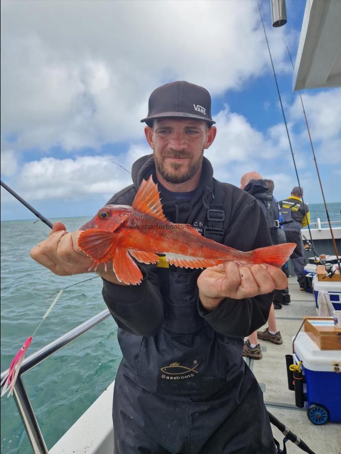 1 lb 2 oz Tub Gurnard by Ben