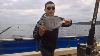 3 lb Black Sea Bream by Stephen Wake