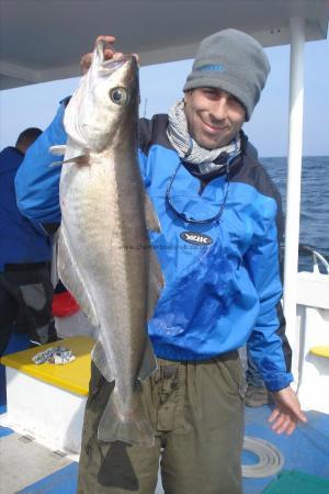 9 lb 6 oz Pollock by Ed the carpenter