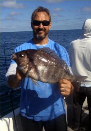 4 lb 2 oz Black Sea Bream by Tim