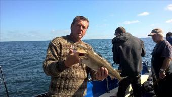 5 lb Cod by Stephen Wake