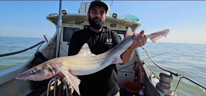 12 lb Smooth-hound by John