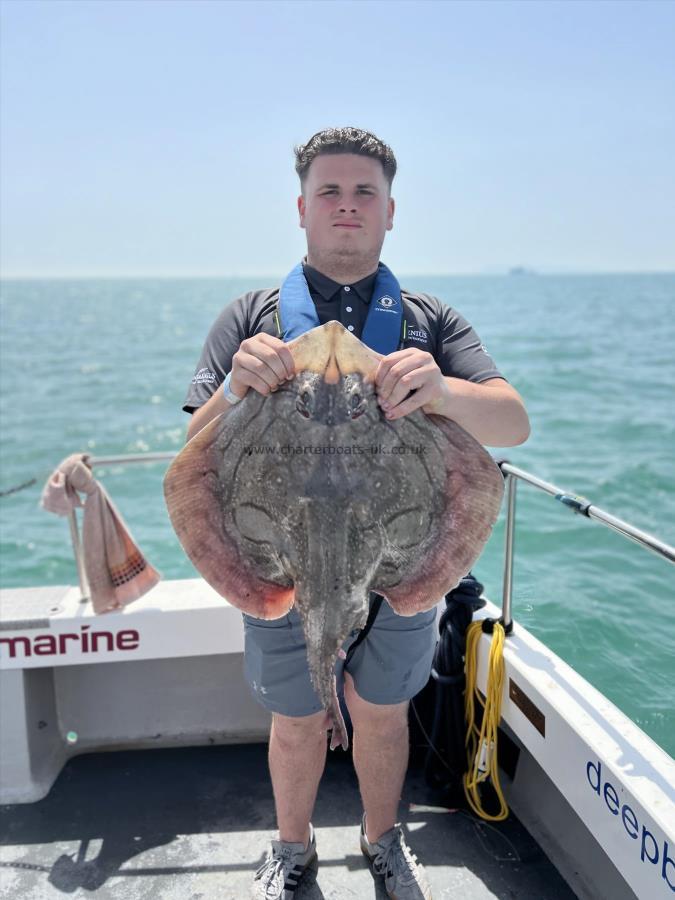 20 lb Undulate Ray by Deano Ryan