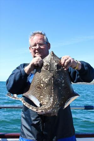 9 lb Thornback Ray by John