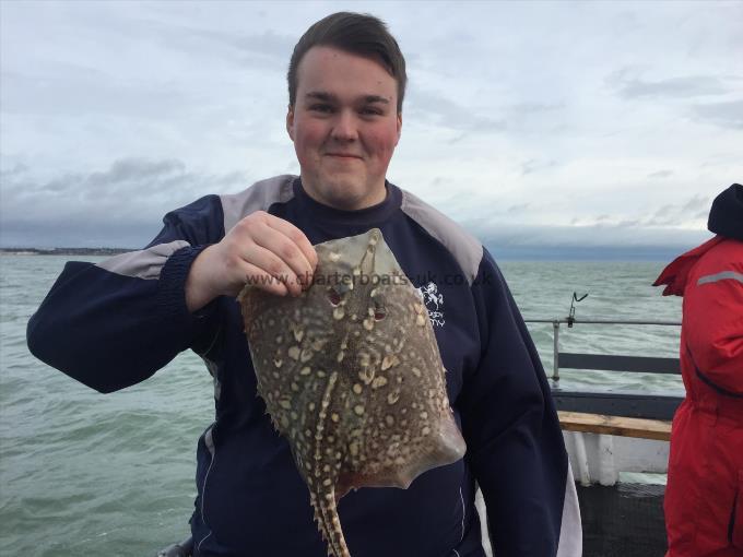 3 lb Thornback Ray by Charlie from ramsgate