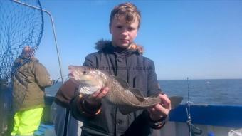 2 lb 10 oz Cod by Unknown