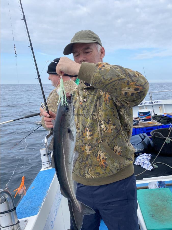 4 lb Coalfish (Coley/Saithe) by Dave.