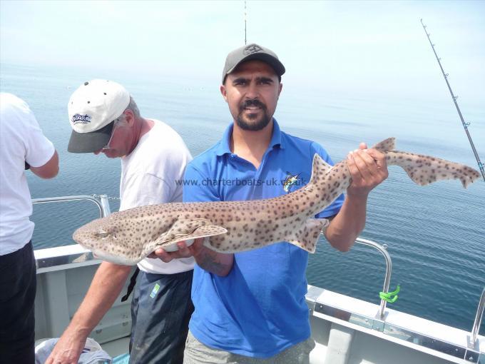 12 lb 8 oz Bull Huss by Jay