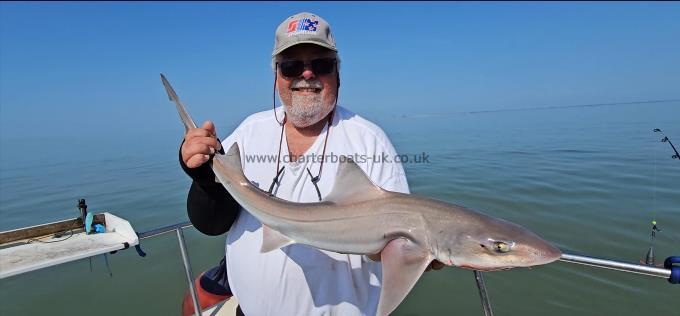 10 lb Smooth-hound by Martin