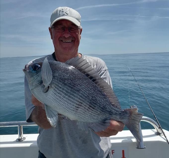 3 lb 4 oz Black Sea Bream by Dave