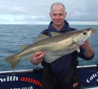 13 lb Pollock by Robin Amor