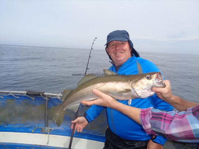 6 lb 2 oz Pollock by Unknown