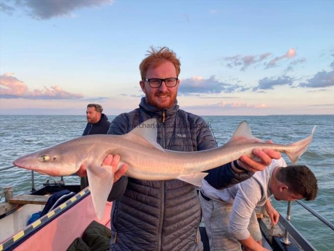 13 lb Smooth-hound by Unknown