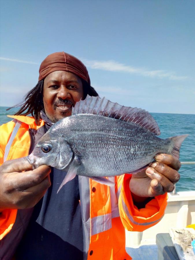 2 lb Black Sea Bream by Howard