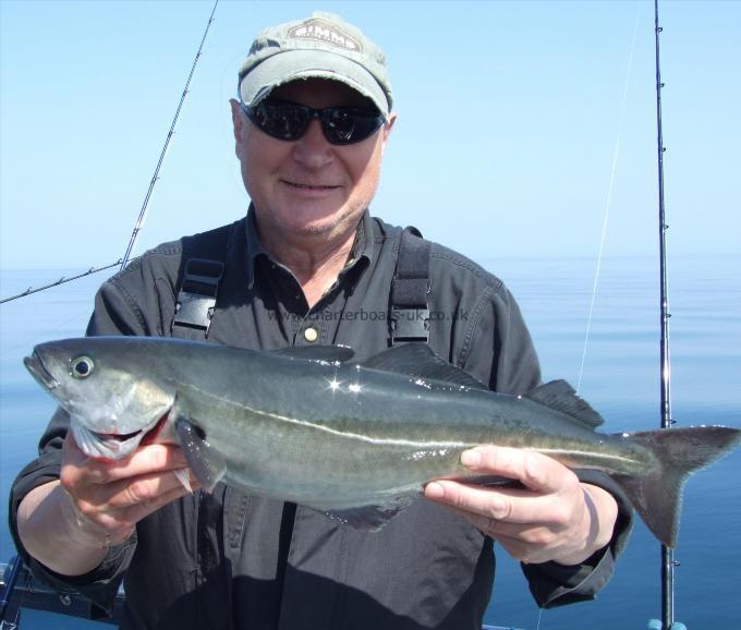 5 lb 2 oz Coalfish (Coley/Saithe) by Keith Williams