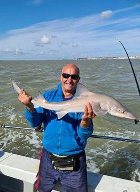 8 lb Smooth-hound by Mickey