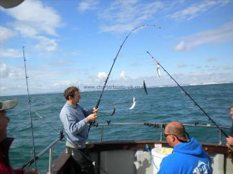 1 lb Mackerel by Essex boys