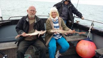 5 lb Starry Smooth-hound by Tony