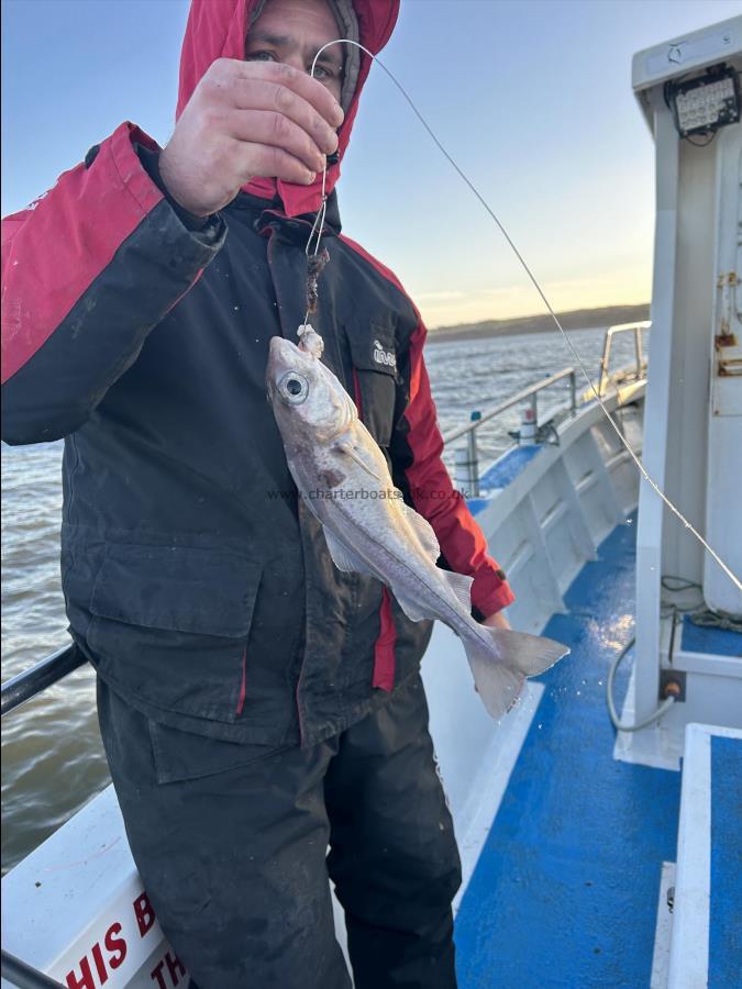 1 lb 4 oz Haddock by Pete.