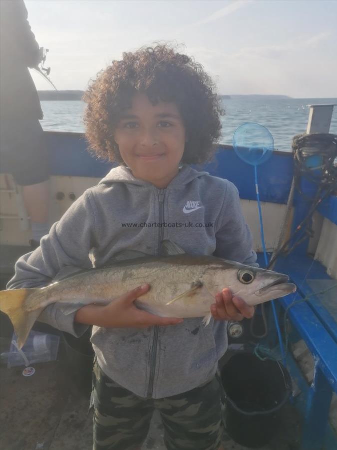 3 lb 10 oz Pollock by Unknown