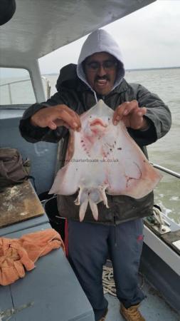 3 Kg Common Skate by Unknown